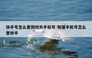 快手号怎么查到对方手机号-知道手机号怎么查快手