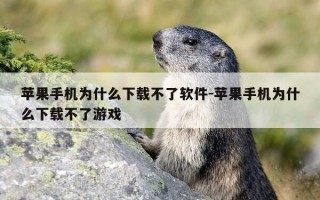 苹果手机为什么下载不了软件-苹果手机为什么下载不了游戏