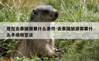 现在去泰国需要什么条件-去泰国旅游需要什么手续和签证