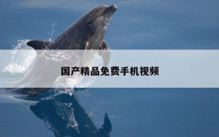 国产精品免费手机视频