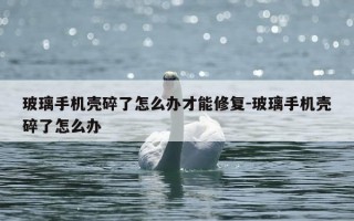 玻璃手机壳碎了怎么办才能修复-玻璃手机壳碎了怎么办