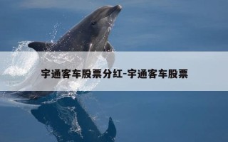 宇通客车股票分红-宇通客车股票