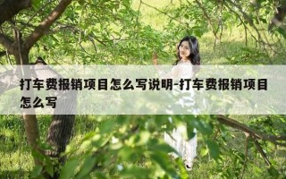 打车费报销项目怎么写说明-打车费报销项目怎么写