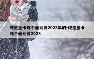 纯流量卡哪个最划算2023年的-纯流量卡哪个最划算2023
