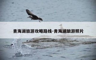 青海湖旅游攻略路线-青海湖旅游照片