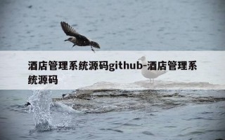酒店管理系统源码github-酒店管理系统源码