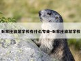 石家庄旅游学校有什么专业-石家庄旅游学校