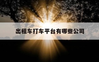 出租车打车平台有哪些公司-出租车接单平台有几个