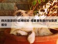 四川旅游团5日纯玩团-成都青年旅行社旅游报价