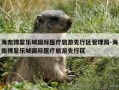 海南博鳌乐城国际医疗旅游先行区管理局-海南博鳌乐城国际医疗旅游先行区