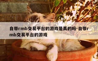 自带rmb交易平台的游戏是真的吗-自带rmb交易平台的游戏