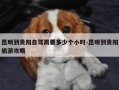 昆明到贵阳自驾需要多少个小时-昆明到贵阳旅游攻略