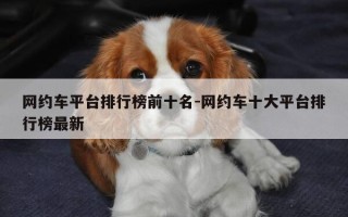 网约车平台排行榜前十名-网约车十大平台排行榜最新