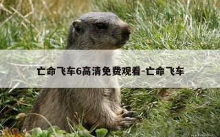 亡命飞车6高清免费观看-亡命飞车