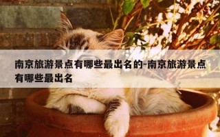 南京旅游景点有哪些最出名的-南京旅游景点有哪些最出名