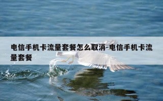 电信手机卡流量套餐怎么取消-电信手机卡流量套餐