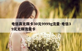 电信真无限卡30元9999g流量-电信39元无限流量卡