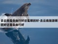 去云南是自由行好还是跟团好-去云南旅游跟团好还是自由行好