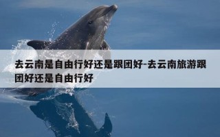 去云南是自由行好还是跟团好-去云南旅游跟团好还是自由行好