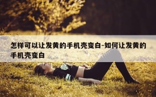 怎样可以让发黄的手机壳变白-如何让发黄的手机壳变白