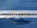 盐城旅游的景点大全-盐城旅游攻略必去景点