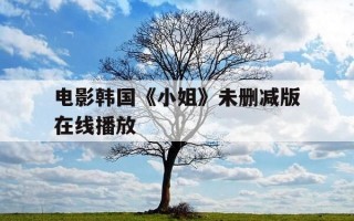 电影韩国《小姐》未删减版在线播放-电影韩国小姐未删减版在线播放视频