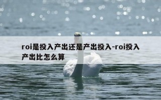 roi是投入产出还是产出投入-roi投入产出比怎么算