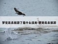 梦见出去旅游了是什么征兆-梦见出去旅游