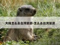 大陆怎么去台湾旅游-怎么去台湾旅游