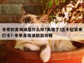 冬季的青海湖是什么样?美爆了!还不赶紧来打卡?-冬季青海湖旅游攻略