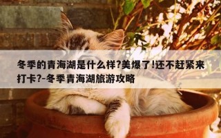 冬季的青海湖是什么样?美爆了!还不赶紧来打卡?-冬季青海湖旅游攻略