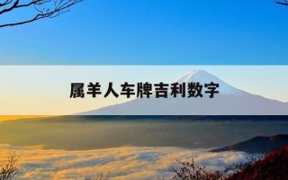 属羊人车牌吉利数字-属羊的车牌号码选几最好呢