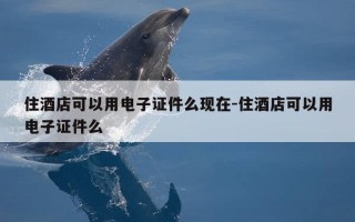 住酒店可以用电子证件么现在-住酒店可以用电子证件么