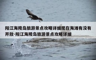 阳江海陵岛旅游景点攻略详细现在海滩有没有开放-阳江海陵岛旅游景点攻略详细
