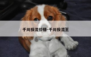 千川投流价格-千川投流王