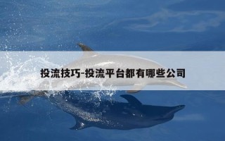 投流技巧-投流平台都有哪些公司