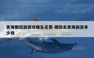 青海跟团旅游攻略及花费-跟团去青海旅游多少钱
