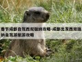 春节成都自驾西双版纳攻略-成都出发西双版纳自驾游旅游攻略