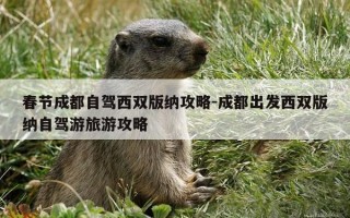 春节成都自驾西双版纳攻略-成都出发西双版纳自驾游旅游攻略