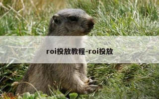 roi投放教程-roi投放