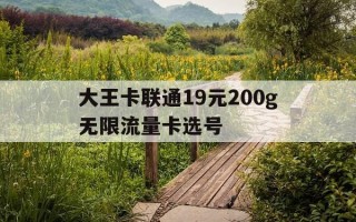 大王卡联通19元200g无限流量卡选号-请问联通大王卡19元套餐好用不