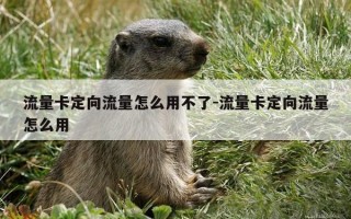 流量卡定向流量怎么用不了-流量卡定向流量怎么用