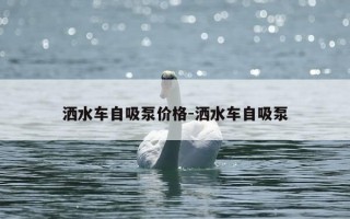 洒水车自吸泵价格-洒水车自吸泵