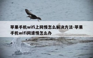 苹果手机wifi上网慢怎么解决方法-苹果手机wifi网速慢怎么办