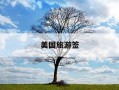 美国旅游签-美国旅游签证好办吗