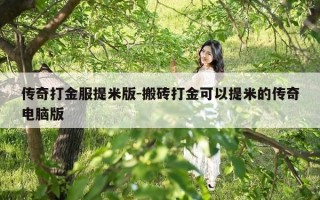 传奇打金服提米版-搬砖打金可以提米的传奇电脑版