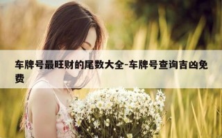 车牌号最旺财的尾数大全-车牌号查询吉凶免费