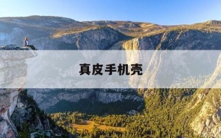 真皮手机壳-真皮手机壳散热好吗