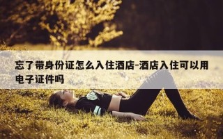 忘了带身份证怎么入住酒店-酒店入住可以用电子证件吗