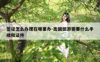 签证怎么办理在哪里办-出国旅游需要什么手续和证件